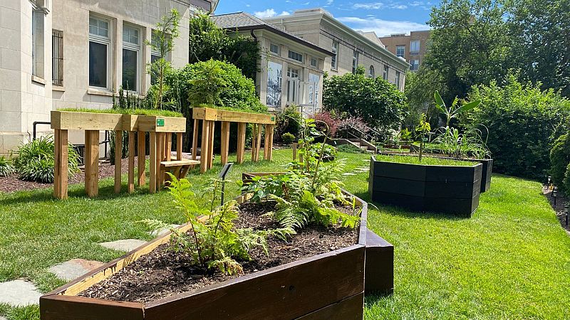 Palabra de arte - Juanli Carrión y Cecilia Vicuña - Escuchar ahora