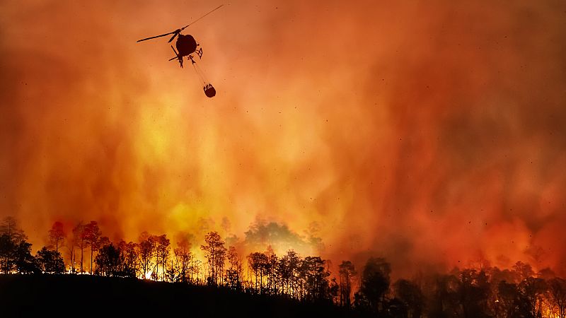 Más cerca - Incendios forestales: prevenir antes que tener que extinguir - Escuchar ahora