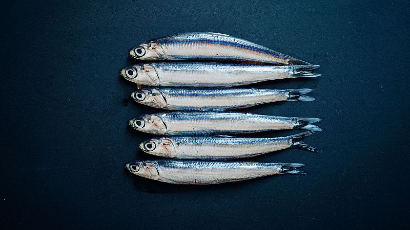 Alimentos funcionales - Escuchar ahora