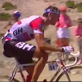 Capítulo 2: 1988, al final de la escapada, Lale Cubino