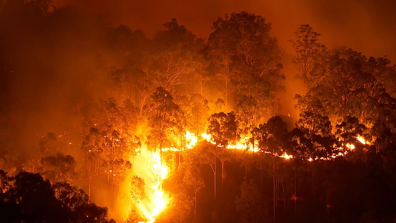 14 Horas Fin de Semana - Máximo peligro de incendios