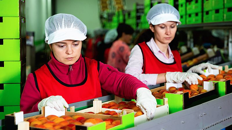 Más cerca - España ante el plan estratégico agrícola - Escuchar ahora