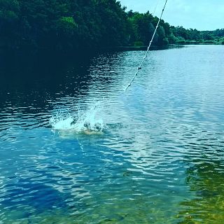 A la orilla del río