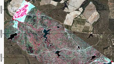 M�s cerca - Sensores para registrar el estr�s de las plantas - Escuchar ahora