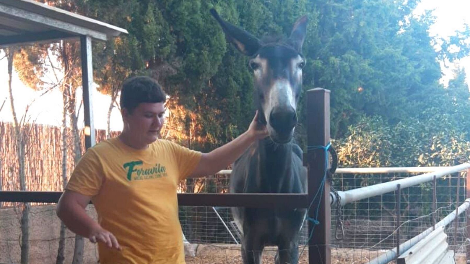 Gente despierta de verano - Miquel Montoro nos enseña a cocinar conejo con cebolla - Escuchar ahora