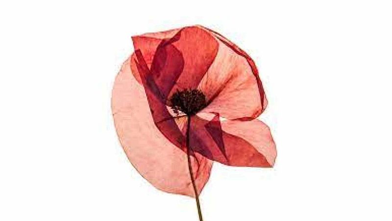 Palabra de arte - Galería Rodrigo Juarranz y Luis Gordillo - Escuchar ahora