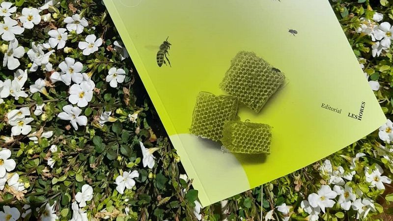 Llibres, píxels i valors - Ostatges. Nina Bouraoui. Maria Sempere