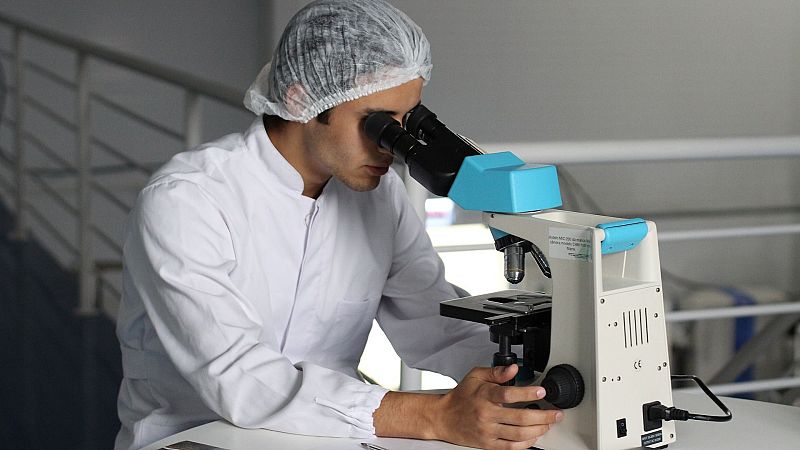 El gallo que no cesa - 'El neurotransmisor': Las células ocultas del cerebro