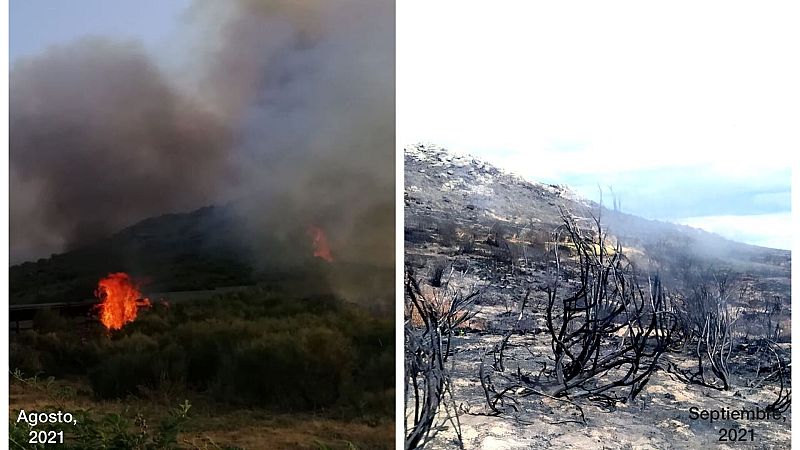 Por tres razones - Navalacruz, zona cero del incendio de Ávila, un mes después - 08/09/21 - Escuchar ahora