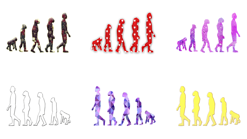 Entre probetas - La evolución no tiene sentido; ¿o sí? - 14/09/21