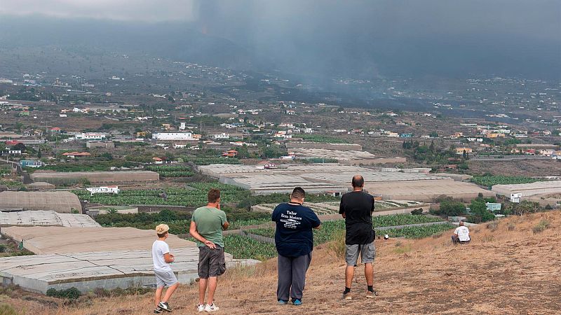 Las mañanas de RNE con Íñigo Alfonso - COAG La Palma: "Esta catástrofe no la cubren los seguros"