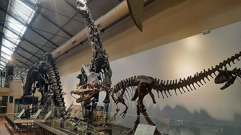 Reserva Natural - El Museo de Ciencias Naturales celebra 250 años de historia - 14/10/21 - Escuchar ahora