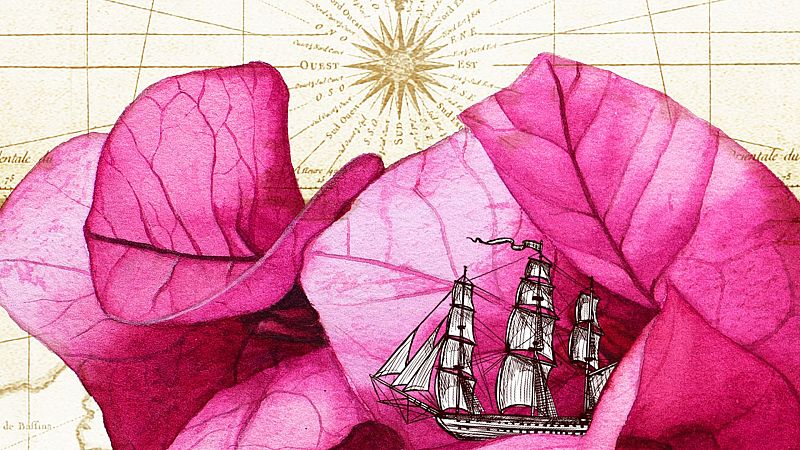 M.Teresa Telleria & Ana Pedroche / Juan de Vicente - Ellas pueden | Escuchar