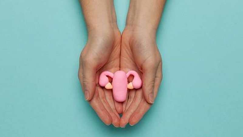 Dia Internacional de la Menopausa | Marga Esparza