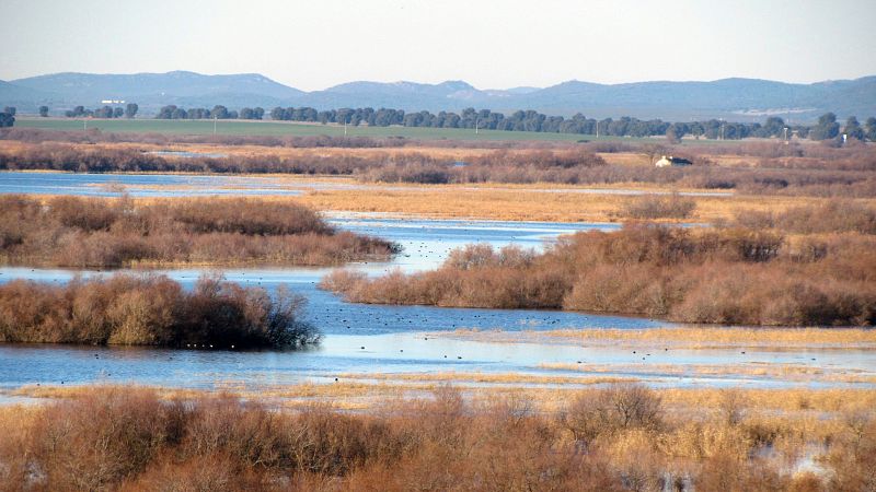 Las mañanas de RNE con Íñigo Alfonso - El riego ilegal esquilma los acuíferos españoles, según WWF