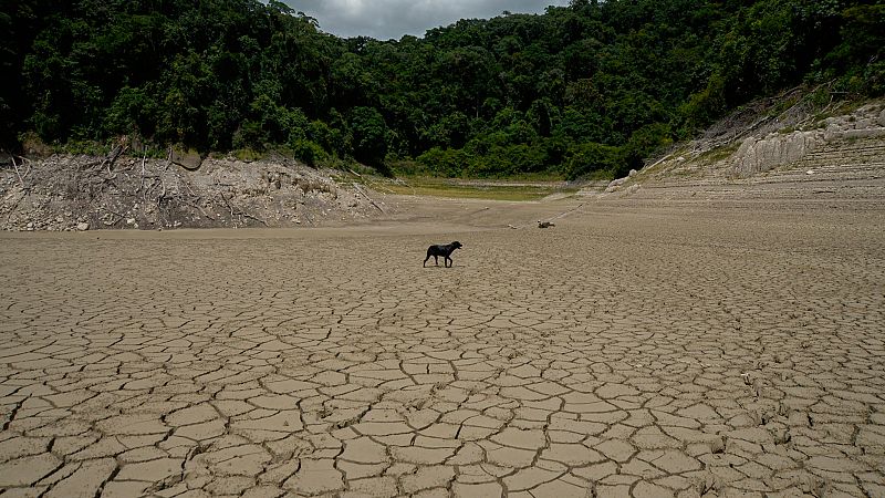Las maanas de RNE con igo Alfonso - Hacia la nueva COP26: "El tiempo para la accin es ahora" - Escuchar ahora