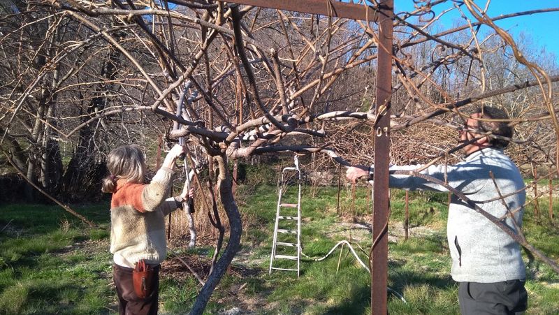 RadioActivas en Radio 5  - Agroecología frente a los retos del presente: La experiencia de  Ecojerte y Red Calea - 10/11/21 - Escuchar ahora