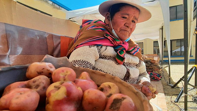 Cinco Continentes - Los pequeños agricultores sufren las consecuencias del cambio climático