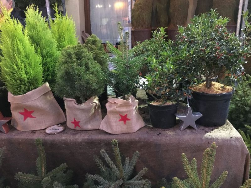 La Fira de l'avet d'Espinelves