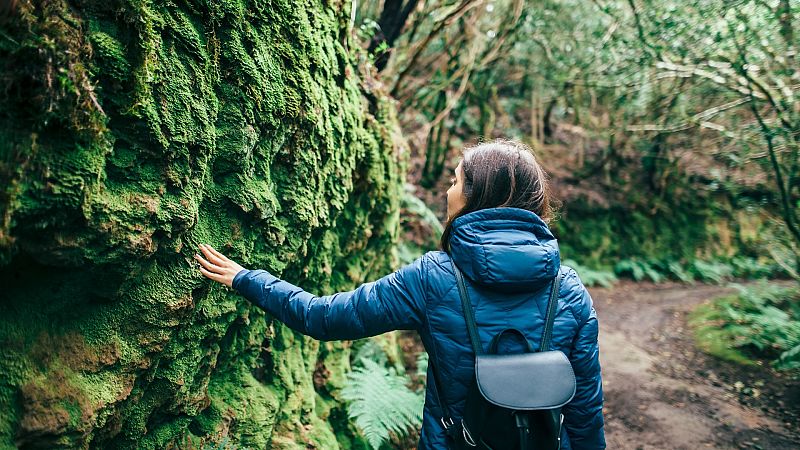Más cerca - El turismo rural celebra las buenas cifras del puente