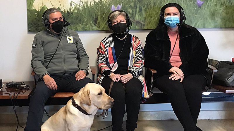 Las mañanas de RNE con Íñigo Alfonso - 83 aniversario de la ONCE: "El perro guía es como si vieras" - Escuchar ahora