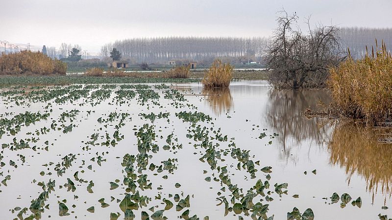 Las mañanas de RNE con Íñigo Alfonso - El campo tras el temporal: "Hay muchos millones debajo de las aguas, el sustento de muchas familias" - Escuchar ahora