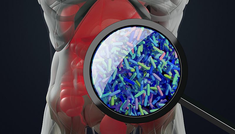 Marca España - El primer mapa del microbioma español - 17/12/21