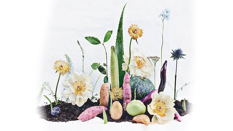 Las mañanas de RNE con Íñigo Alfonso - La moderna | Meterse en jardines - Escuchar ahora