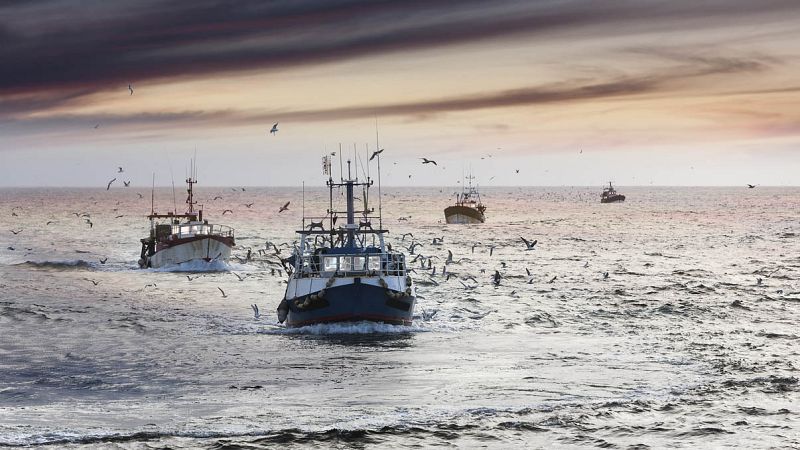 Españoles en la mar - Deepfish: la inteligencia artificial y la lonja de pescado - 04/01/22