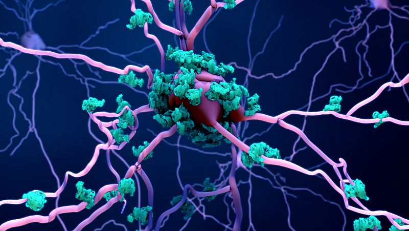 A golpe de bit - Frenar el envejecimiento celular es posible - 18/01/22