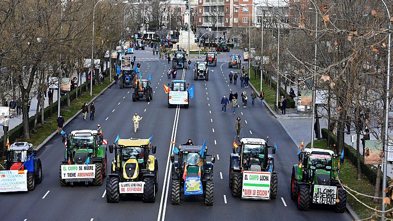 Las Mañanas de RNE - Alma Rural pide un cambio en las políticas agrarias, ganaderas y medioambientales