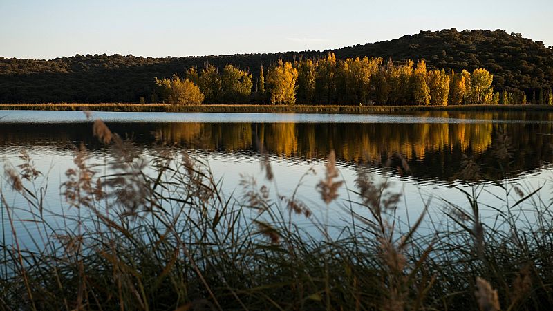 Las Mañanas de RNE con Íñigo Alfonso - Día Mundial de los Humedales: así afecta su disminución a las aves migratorias - Escuchar ahora