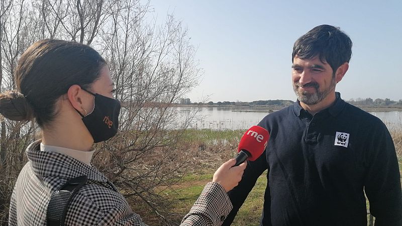 Más cerca - ¿Se puede lograr el consenso en Doñana? - Escuchar ahora