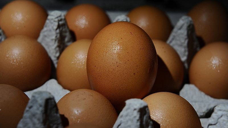 24 horas - Huevos españoles, implicados en casos de salmonela en Francia