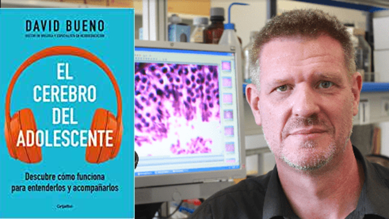 Educar para la paz - 'El cerebro del adolescente' con David Bueno - 09/03/22 - escuchar ahora
