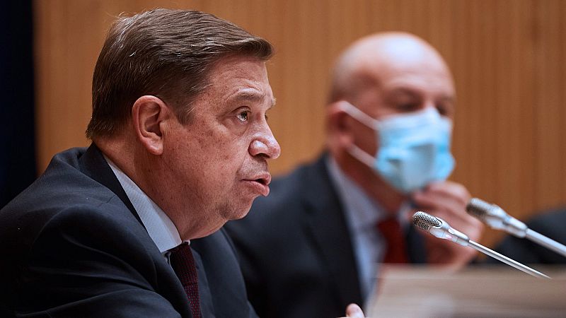 24 horas - Planas: "El 23% de los gastos de funcionamiento de un buque pesquero vienen del combustible"