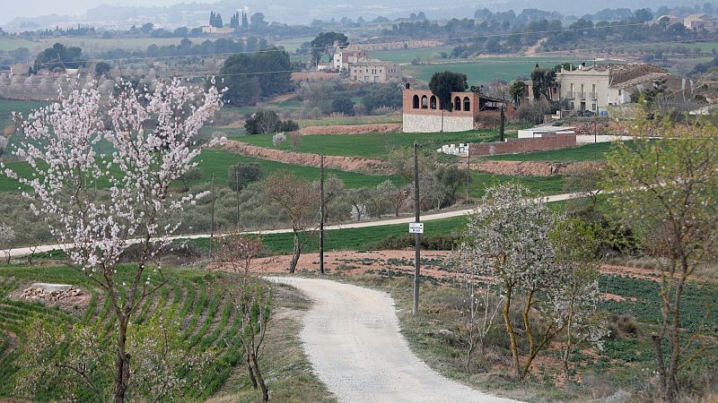 España a las 8 fin de semana - Dos años desde el primer confinamiento en España tras la llegada de la pandemia