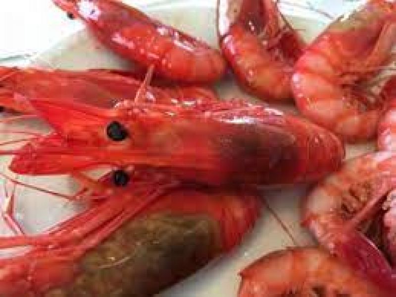 La gamba roja se va para Cáceres - 05/04/22 - Escuchar ahora