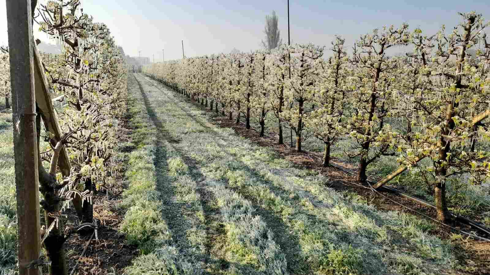 Acció Climàtica reconeix que el sistema d'assegurances "s'ha de canviar"