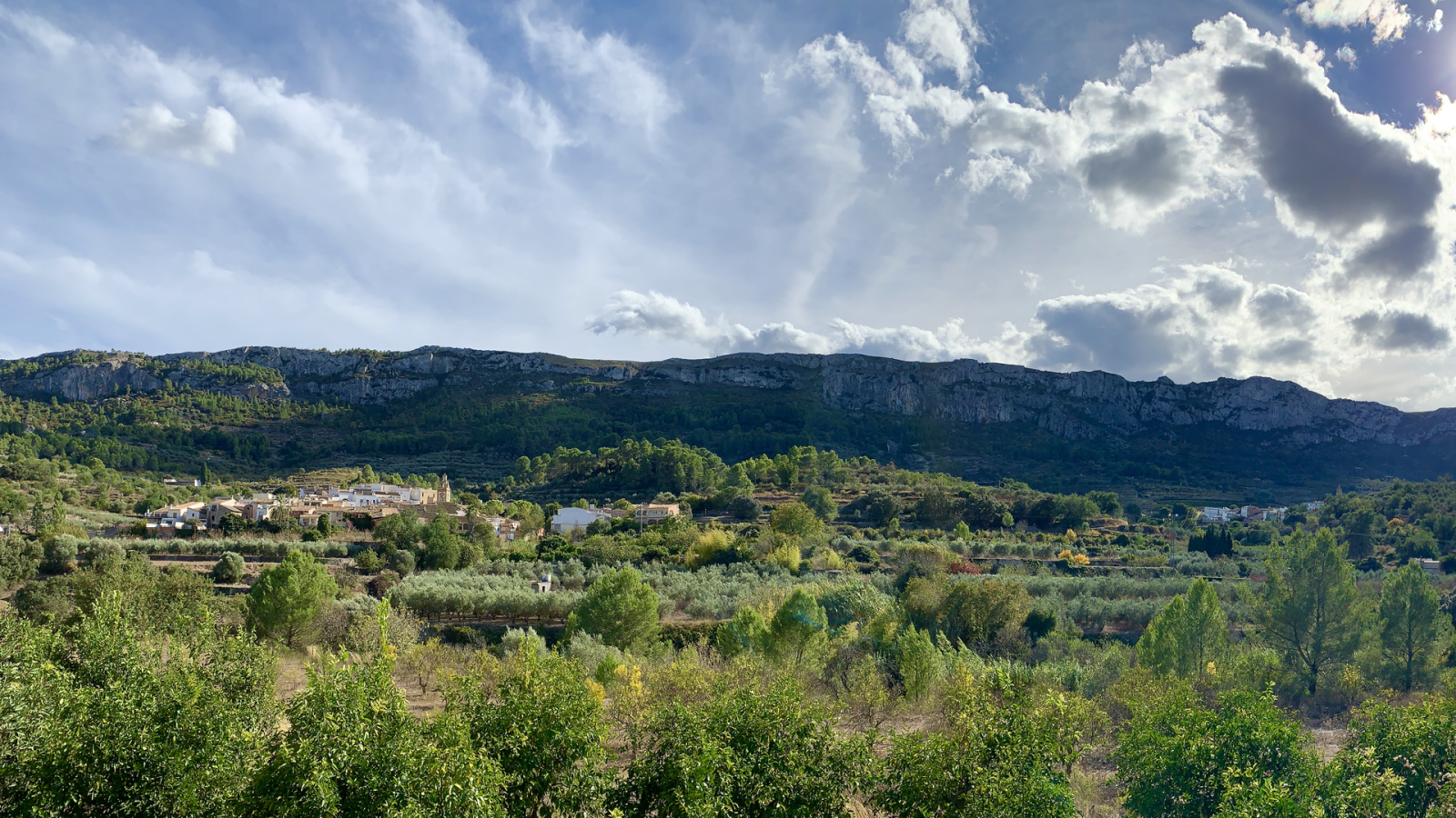 El gallo que no cesa - Tierra sin límites: Ibiza, Alicante y Ciudad Real
