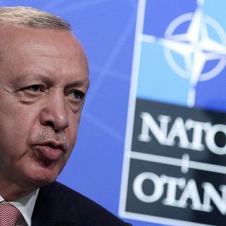 El papel de Turqua en la OTAN