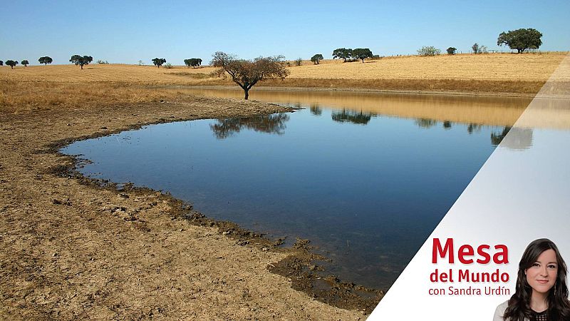 24 horas - Mesa del mundo: la sequía se extiende en Europa
