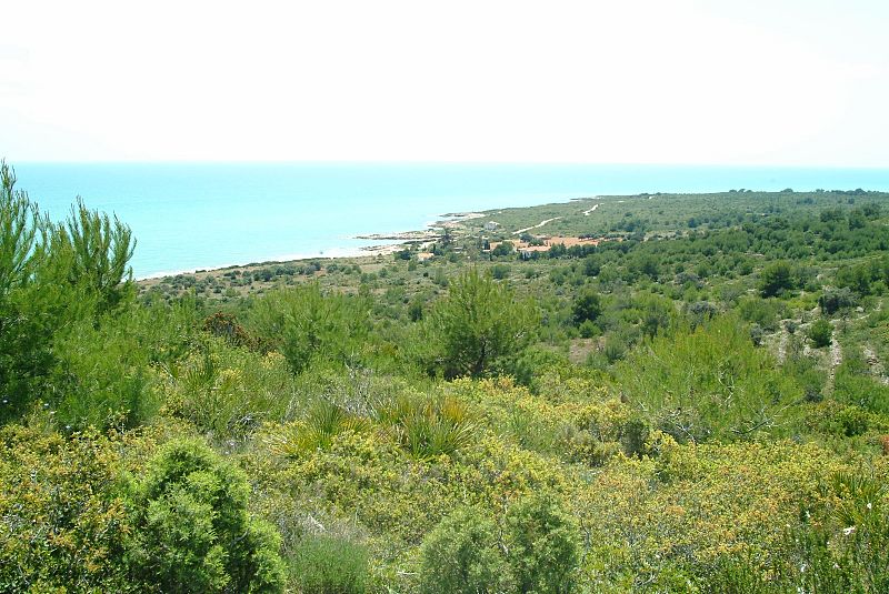 24/05/22 - Escoltar ara