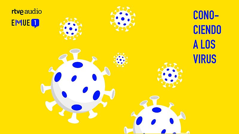 Esto merece una explicación - Conociendo a los virus: cuándo y por qué deben preocuparnos