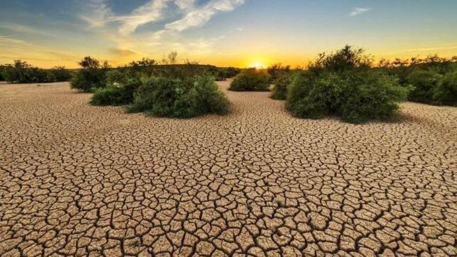 No es un día cualquiera - Degradación del suelo - Patricia F. de Lis - Planeta 2050 - 04-06-22 - Escuchar ahora