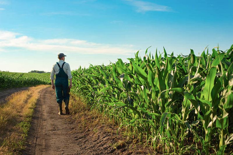 Más cerca - Los retos a los que se enfrenta la agricultura - Escuchar ahora