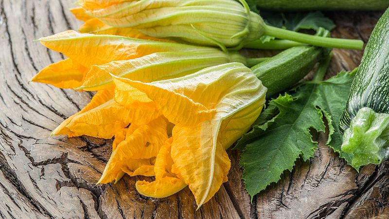 Avui sortim - Cuinar les flors del carabassó amb Carme Ruscalleda