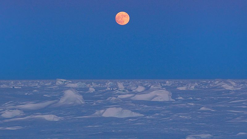 Cinco Continentes - La lucha por el control del Ártico