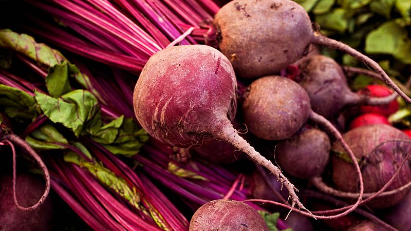 Mundo rural - Gripe aviar - 15/06/22