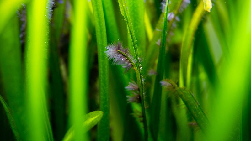 Las mañanas de RNE con Íñigo Alfonso - La moderna | Belleza e inteligencia - Escuchar ahora